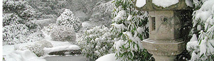 Kabota Garden Snowstorm December 2008
