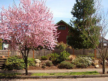 Touching Earth Sangha, Southeast Portland, Oregon.