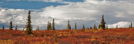 Alaska in the fall