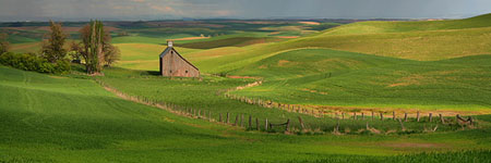 Nisqually National Wildlife Refuge