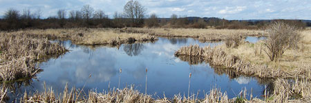 Nisqually National Wildlife Refuge
